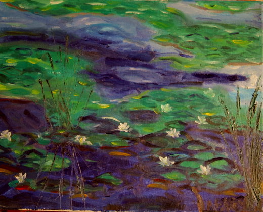 Rye Waterlillies