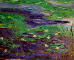 Rye Waterlillies