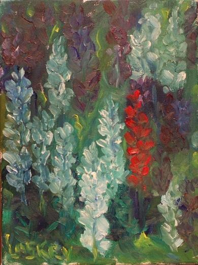 Red Lupine